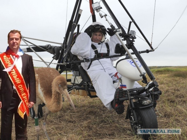 Дмитрий Медведев – "почетный орленок"