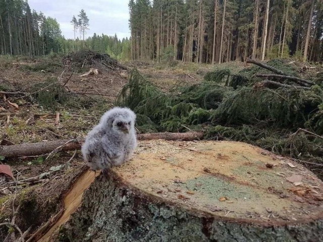 Прикольные и просто красивые картинки 03.09.2024