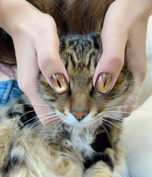 Весёлый полтишок 27.09.24