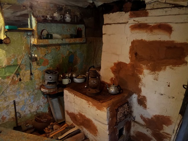 Пушкинские Горы. В доме Довлатова