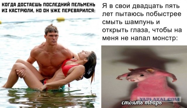 Прикольные и просто красивые картинки