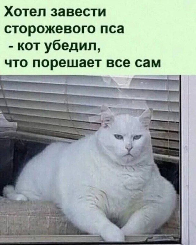 Так себе картинки 27.11.24