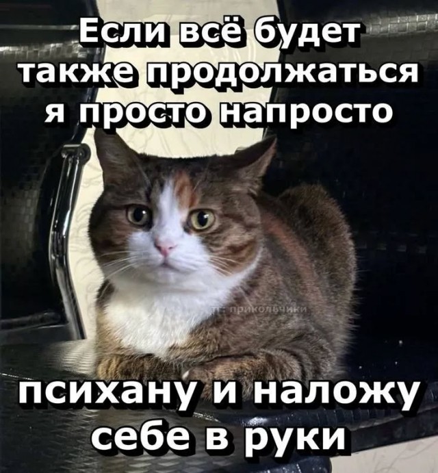 Завалялось тут случайно немного забавных картинок