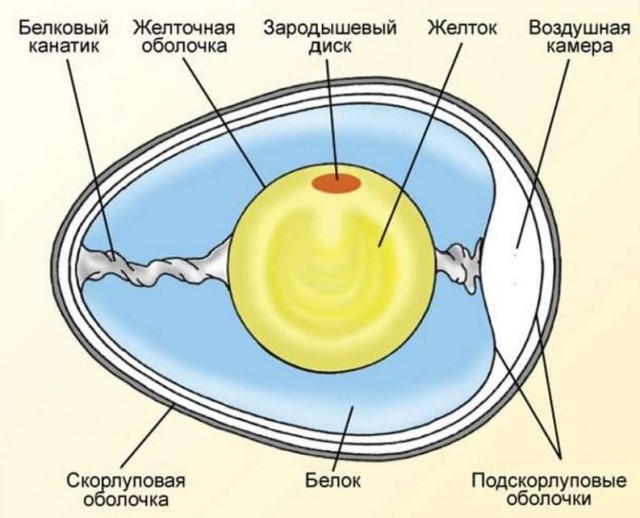 Високосный год ушел...