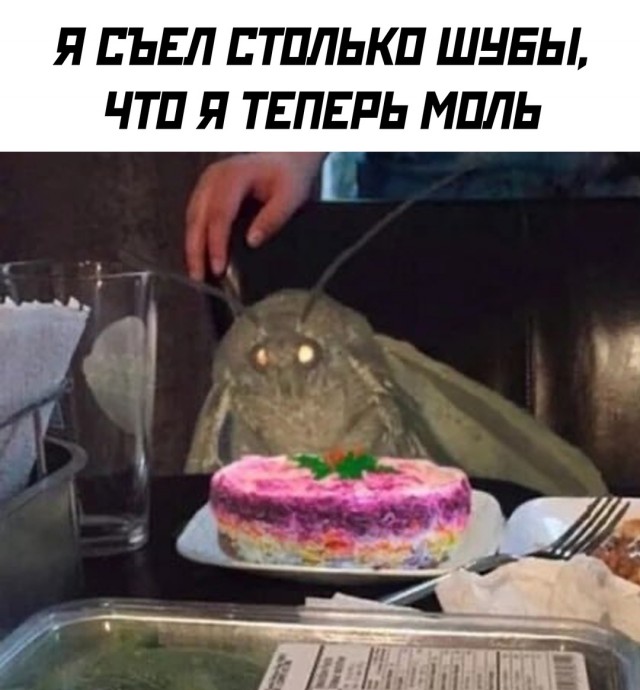 Весёлый полтишок 03.01.25