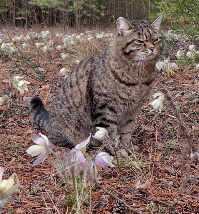 Зумеры разрушают экономику