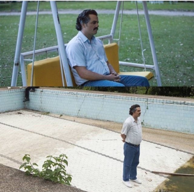 Порадовали пса