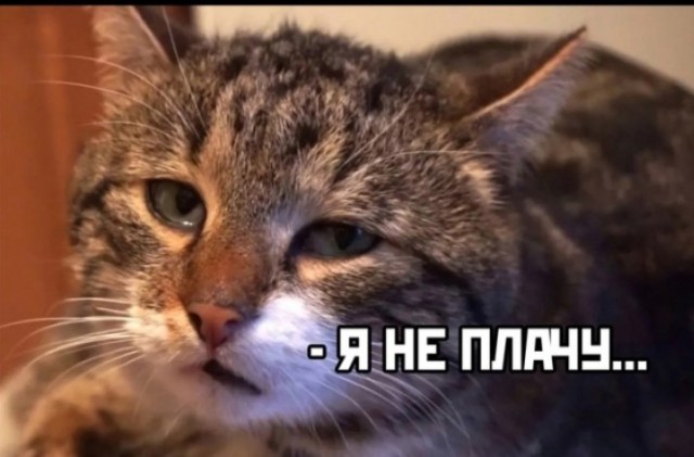 Что же с нами стало….