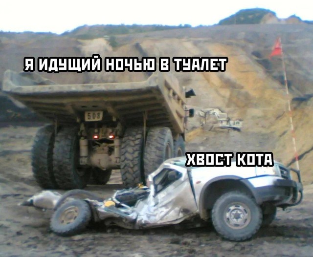 Веселые картинки в понедельник (04.08)