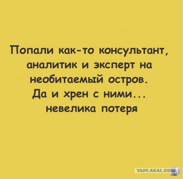 Весёлый полтишок 22.08.25
