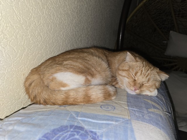 Котосон.