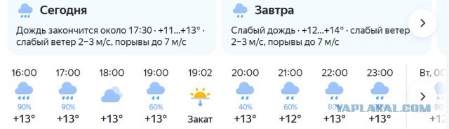 Тянем лето за хвостище