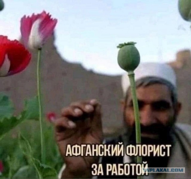 Хороший флорист на вес золота
