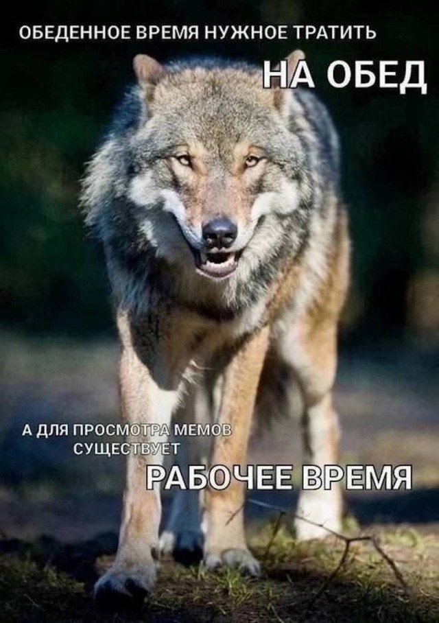 Дело житейское