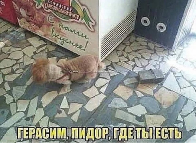 Веселые картинки в понедельник (13.10)