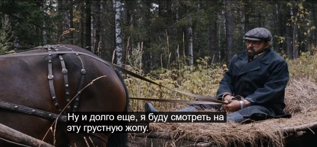Привет из Салехарда!