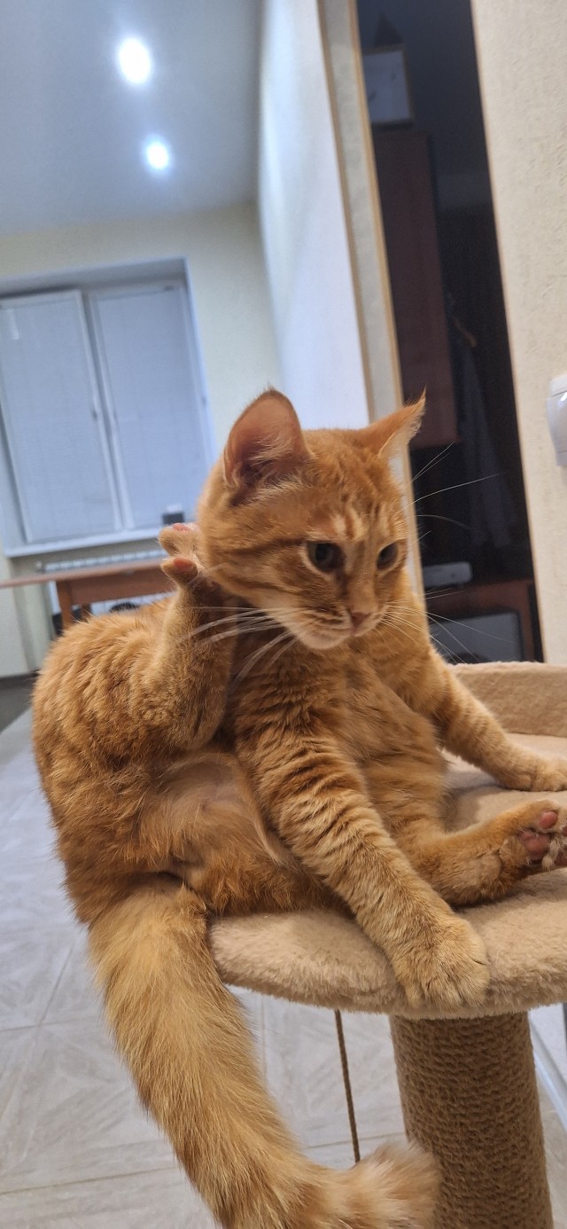 Оглянись, незнакомый прохожий