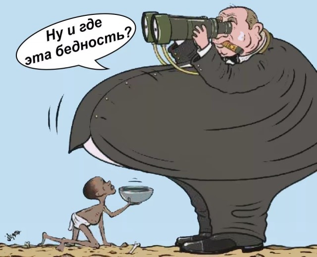 Пингвины так и греются: «Несите меня!»: в сети показали, что происходит на «Розе Хутор» в новогодние праздники