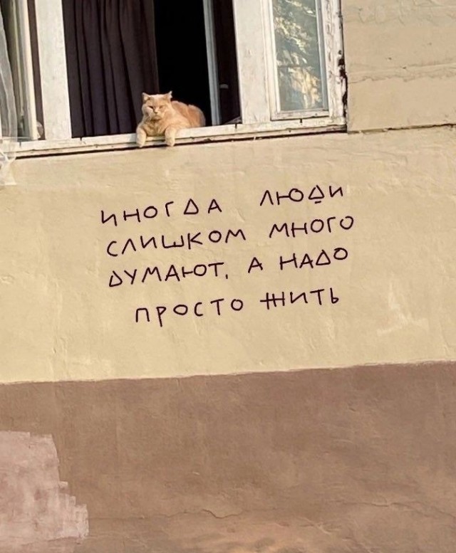Прикольные и просто красивые картинки 03.04.2026