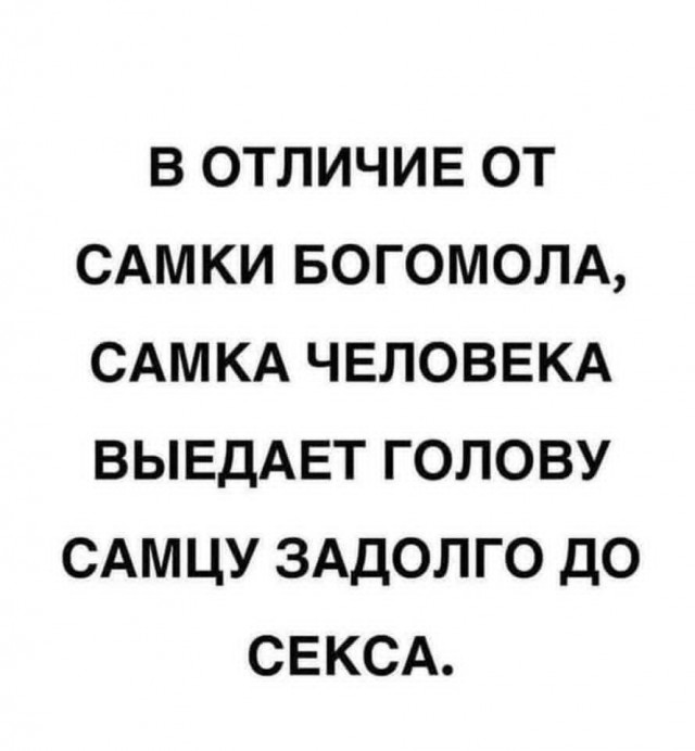 Маленькая пятница 3.06