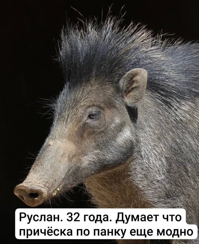Картинки для деградации 271 (разной степени свежести)