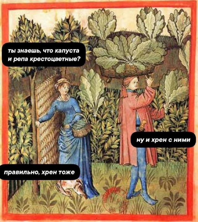Страдающее средневековье к среде