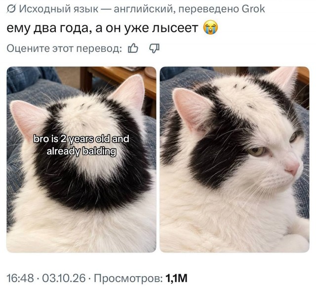 Проплешина⁠