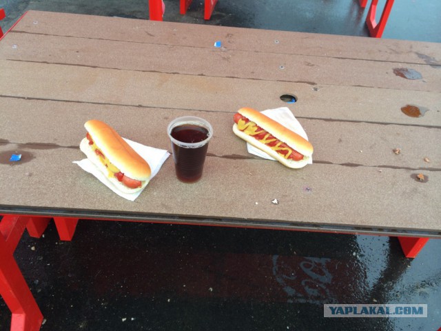 Два дня на Олимпиаде