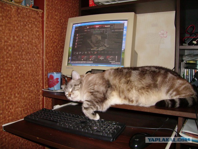 World of Tanks