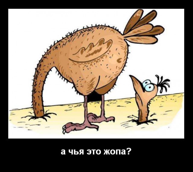 Укры - дети неба и настоящие арийцы