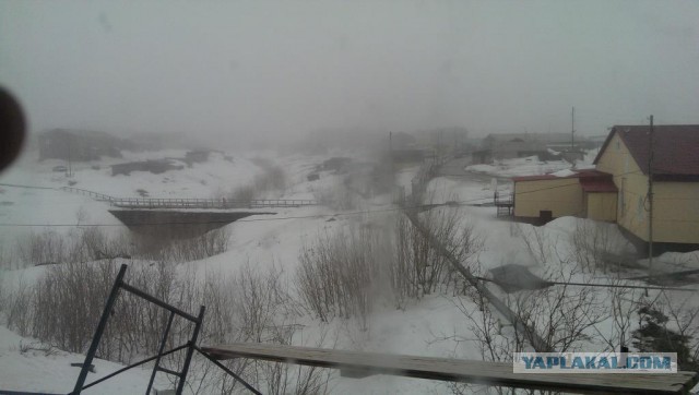 Заполярье ЯНАО