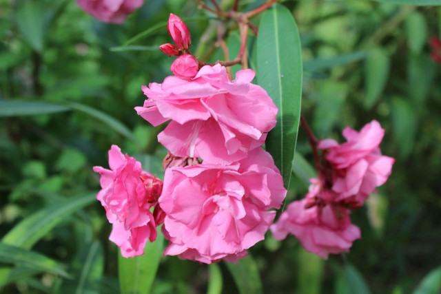 Отчёт о поездке в Крым 12.07 - 29.07