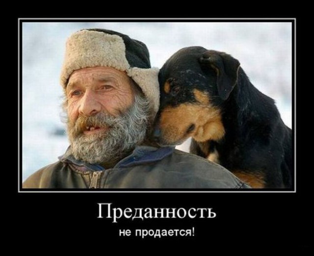 Смешное из сети