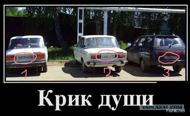 Картинки из сети для настроения