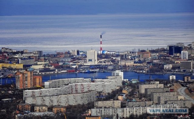 Отечественный мост во Владивостоке