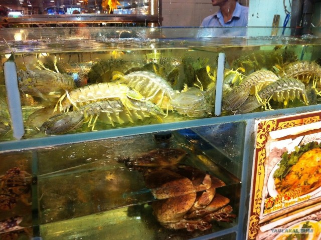 Руководство по морепродуктам