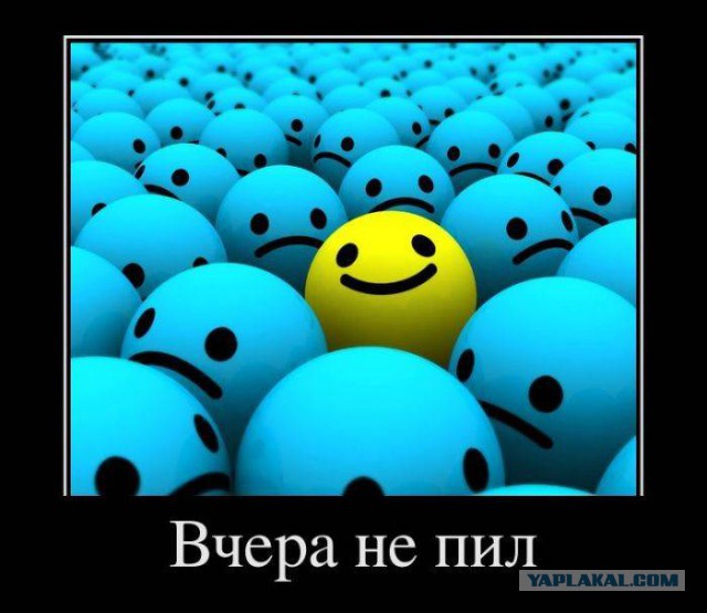 Веселости которые встретились сегодня
