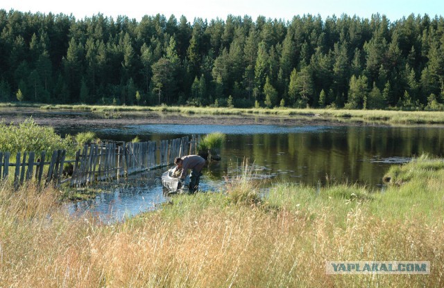 Деревенская Америка