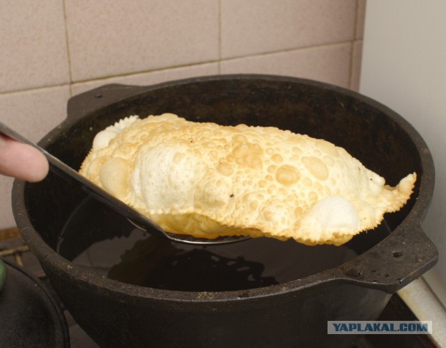 Чебуреки от Пчёлы