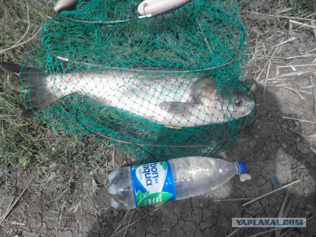 Всех С Днем Рыбака