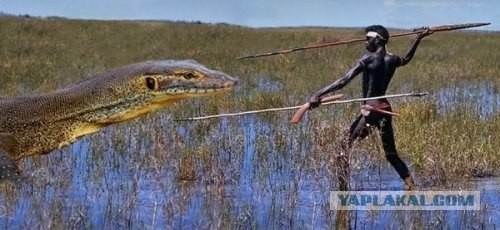 10 Мифических вещей