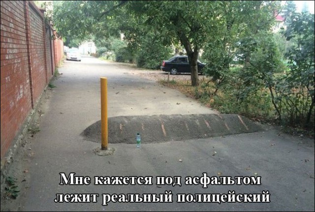Картинки и гифки.