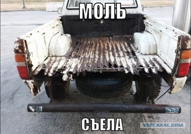 Приколы из сети