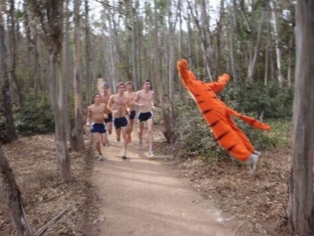 Вот так бывает за секунду до …