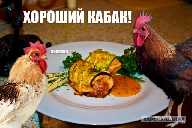 Итоги конкурса "Кулинар ЯПа - 2015"