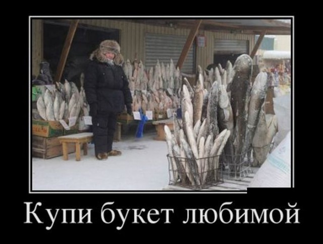 Смешные картинки