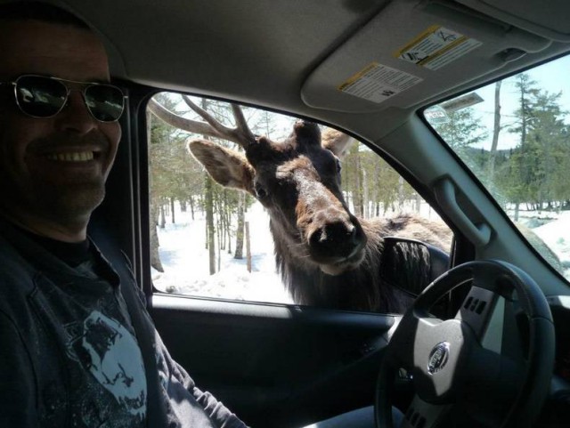 Иногда встречи с животными бывают очень неожиданными