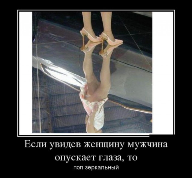 Порция картинок из сети