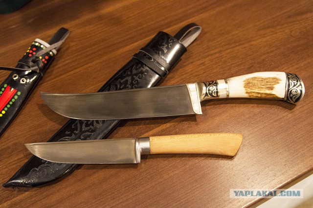Продам Пчаки