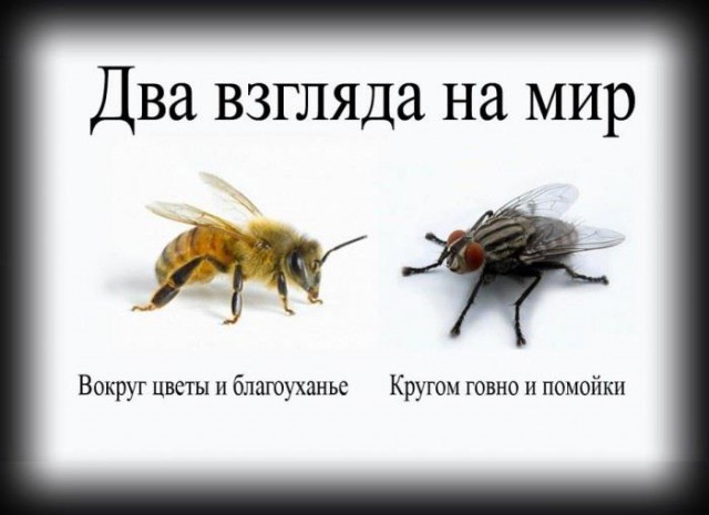 Новая серия фотографий "Москва глазами американского шпиёна"